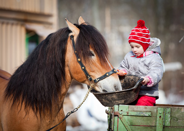 kind am bauernhof